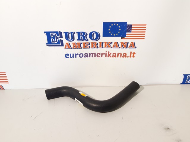 Upper Hose